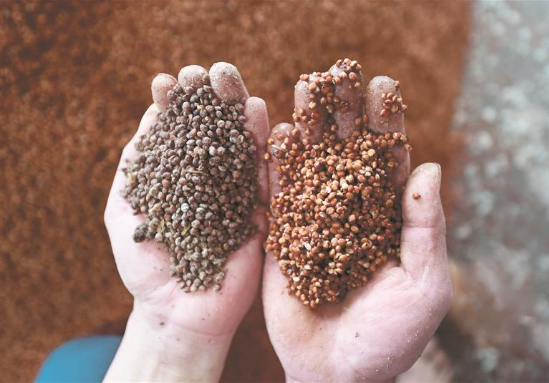 1728872139278539.png 图片